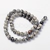 Natural Black Silk Stone/Netstone Bead Strands GSR8mmC137-3
