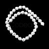 Natural Howlite Beads Strands G-Z119-A43-03-4