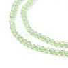 Transparent Glass Beads Strands GLAA-F094-A20-3