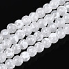 Baking Paint Glass Beads Strands DGLA-N015-6mm-M-2