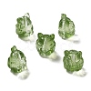 Transparent Glass Beads GLAA-D025-06G-1
