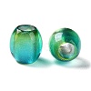 Painted Acrylic Beads OACR-Z010-03C-2