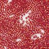 TOHO Japanese Seed Beads SEED-K007-1.5mm-25-2