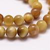 Natural Tiger Eye Bead Strands G-D840-54-8mm-03-3
