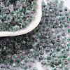 Glass Seed Beads SEED-A032-01I-1