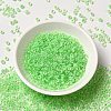 6/0 Transparent Glass Seed Beads SEED-F003-03A-13-2