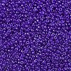 MIYUKI Round Rocailles Beads X-SEED-G007-RR0176-3