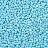 6/0 Glass Seed Beads X1-SEED-L011-08A-13-3