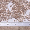 MIYUKI Delica Beads SEED-X0054-DB0069-4