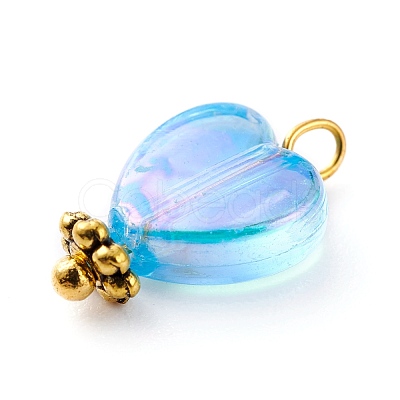 Eco-Friendly Transparent Acrylic Charms PALLOY-JF00749-02-1