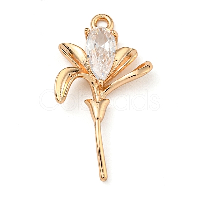 Brass Micro Pave Clear Cubic Zirconia Pendants LS-ZIRC-U003-01G-04-1
