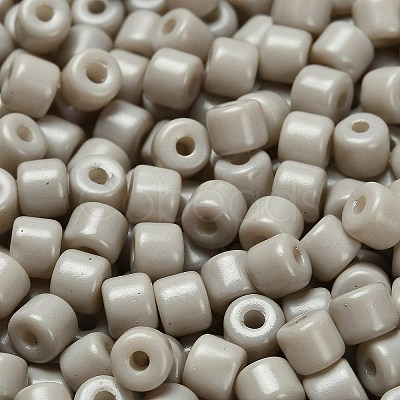 Baking Paint Pearlized Glass Seed Beads SEED-C001-04A-17-1