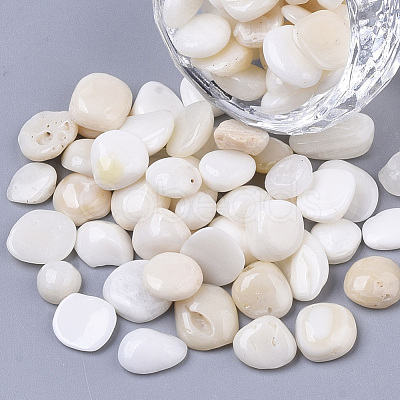 Sea Shell Beads SSHEL-S258-71-1