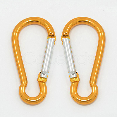 Aluminum Carabiners LS-EA026-09-1