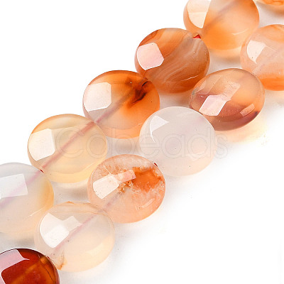 Natural Agate Beads Strands G-H024-A01-02-1
