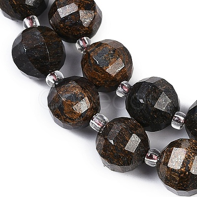 Natural Bronzite Beads Strands G-G182-B05-05-1