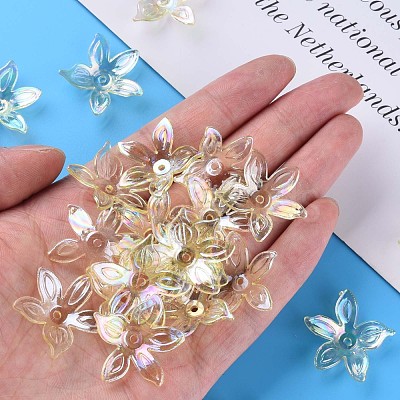 Transparent Acrylic Beads MACR-S373-102-C06-1