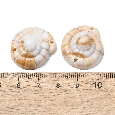 Opaque Acrylic Links Connector Charms SACR-K005-09-1
