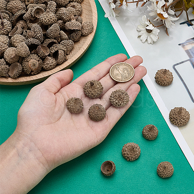 200Pcs Wood Acorn for Display Decorations AJEW-PH0008-19-1