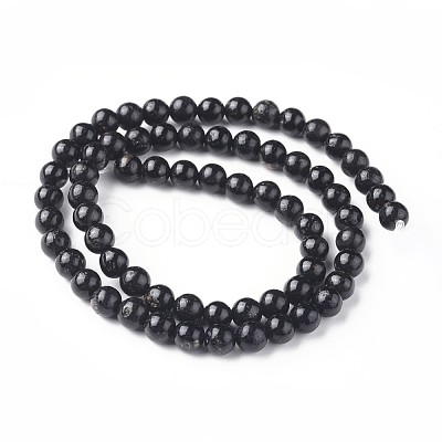 Natural Biotite Beads Strands G-L528-06D-1