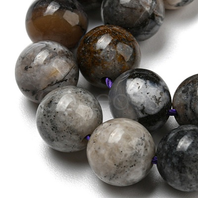 Natural Dendritic Jasper Beads Strands G-R494-A23-03-1