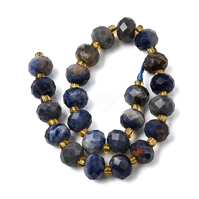 Natural Sodalite Beads Strands G-D105-B09-02-1