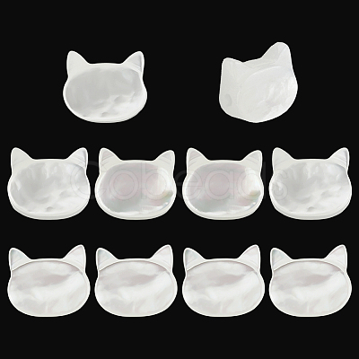 10Pcs Natural White Shell Beads SHEL-PH0001-71-1