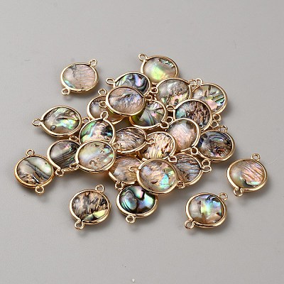 Flat Round Natural Paua Shell Resin Connector Charms LS-BSHE-WH0004-16KCG-1