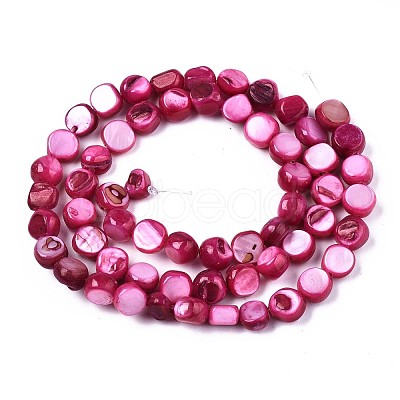 Natural Freshwater Shell Beads Strands SHEL-S276-110A-05-1