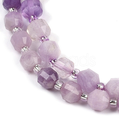 Natural Lepidolite Beads Strands G-O201B-108E-1