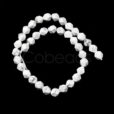 Natural Howlite Beads Strands G-Z119-A43-03-1