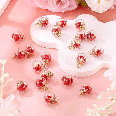 20Pcs Transparent Glass Globe Pendants GLAA-TA0003-57B-1