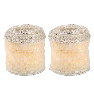 Polyester Deco Mesh Ribbons OCOR-TAC0024-004F-1
