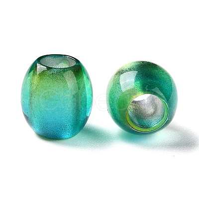 Painted Acrylic Beads OACR-Z010-03C-1