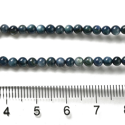Natural Freshwater Shell Beads Strands X-SHEL-H003-03C-1