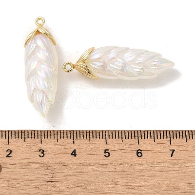 Rainbow Iridescent Plating Resin Pendants RESI-C047-03B-G-1