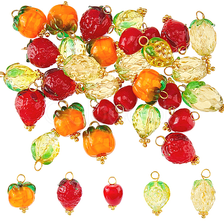 30Pcs 5 Styless Handmade Lampwork Pendants PALLOY-HS00034-1