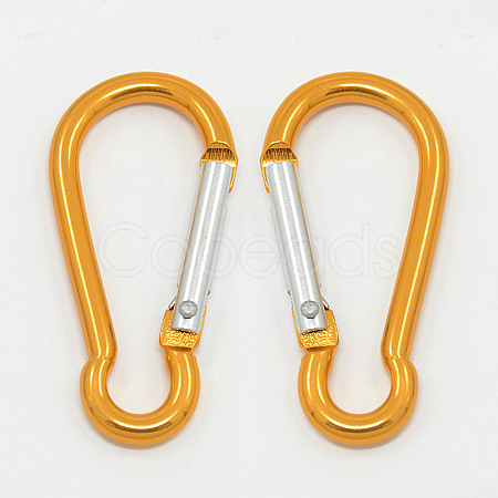 Aluminum Carabiners LS-EA026-09-1