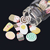 Handmade Polymer Clay Cabochons MRMJ-N032-02-2