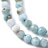 Natural Larimar Beads Strands G-F785-B01-01-4