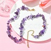 Natural Amethyst Chips Beaded Necklace NJEW-FZ00004-09-5