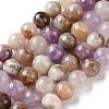 Natural Amethyst Lace Agate Beads Strands GG-CBABD99-04-12mm-2