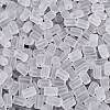 FGB Frosted Transparent Glass Seed Beads SEED-N013-05A-01-3