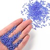 Round Glass Seed Beads SEED-A007-3mm-166-4