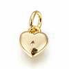 Brass Micro Pave Cubic Zirconia Charms ZIRC-F095-04G-2