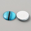 Luminous Self Adhesive Glass Eyes Cabochons DIY-WH0304-941C-36-2
