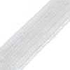 Frosted Transparent Glass Beads Strands FGLA-M002-01I-2