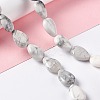 Natural Howlite Beads Strands G-L242-13-2