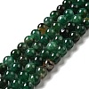 Natural Fuchsite Beads Strands G-D470-12C-1-1