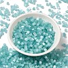 Glass Seed Beads X1-SEED-H002-D-A812-2